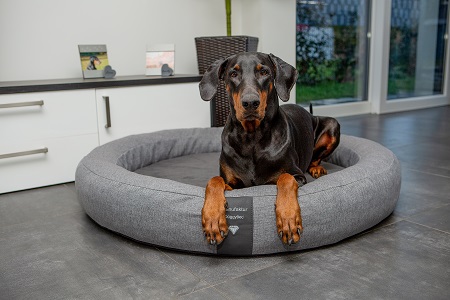Orthopädisches Hundebett Soft Style